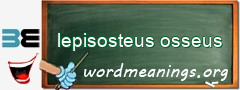 WordMeaning blackboard for lepisosteus osseus